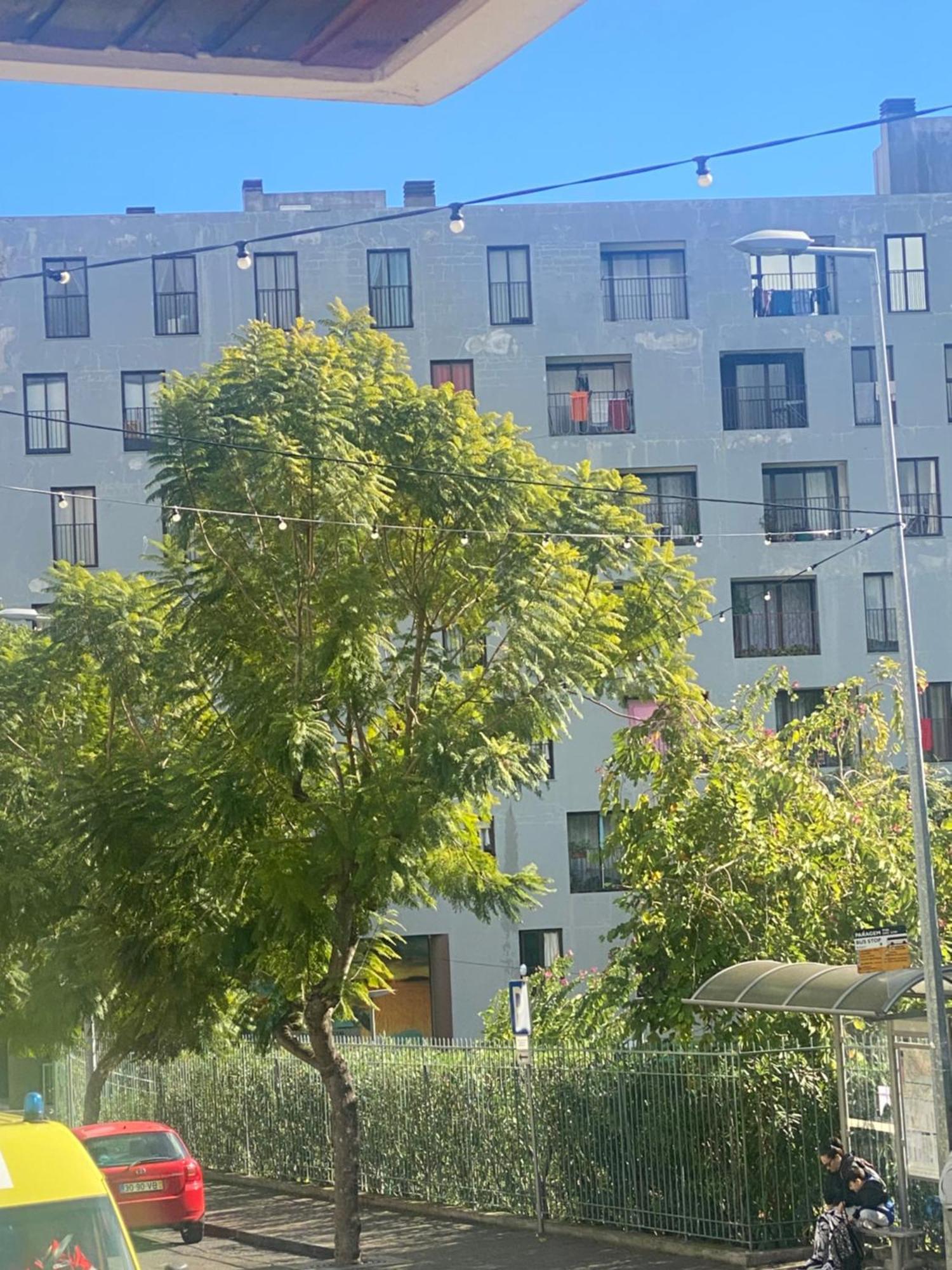 Funchal Varzea Park Apartment Bagian luar foto